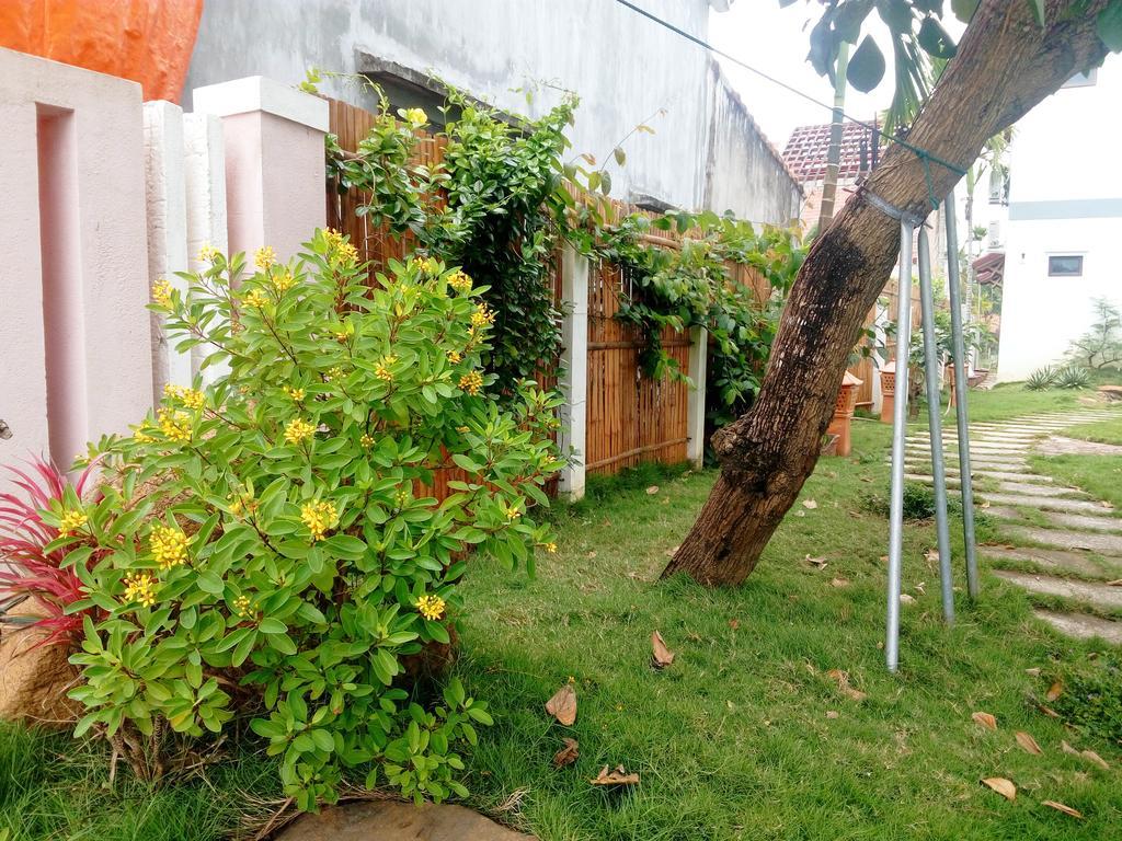 The Field Homestay Хойан Экстерьер фото